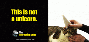 This is not a unicorn - The marketing cube