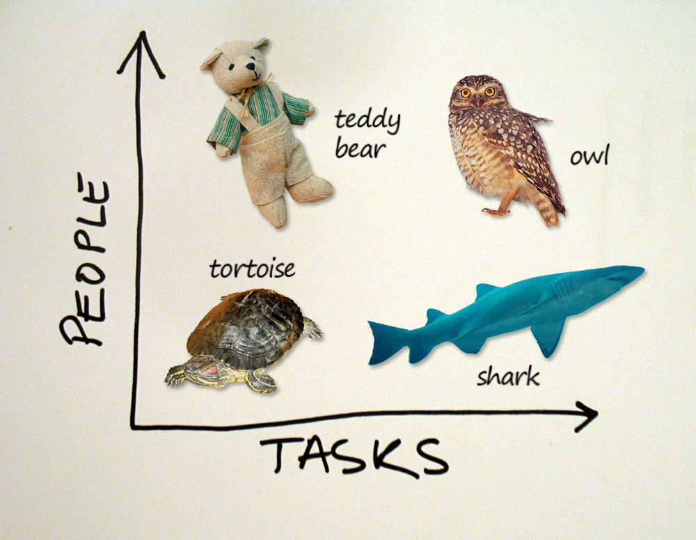 Meeting personas - People VS Tasks - teddy bear, owl, tortoise, shark